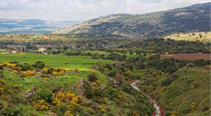 צימרים בחד נס היישוב התיירות ברמת הגולן המקום שכולם אוהבים לאהוב.