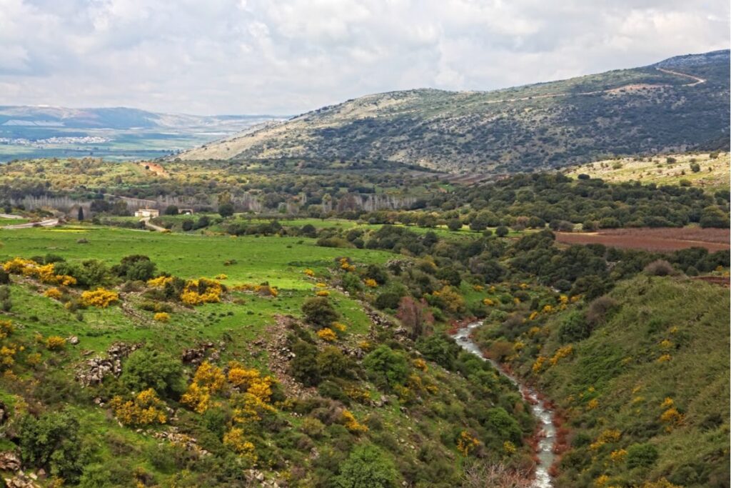 שמורות טבע ברמת הגולן 2