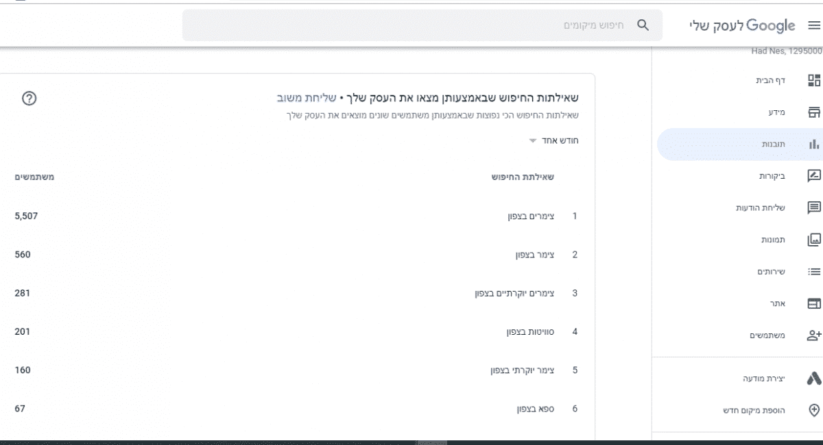 ניתוח נתונים צפיות בחיפושים - גוגל העסק שלי